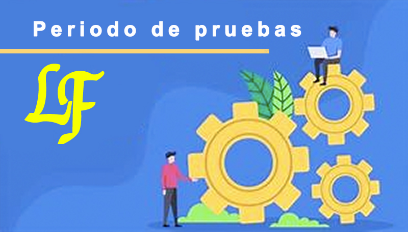 Periodo de pruebas Insitucionales Liceo Lenka Franulic